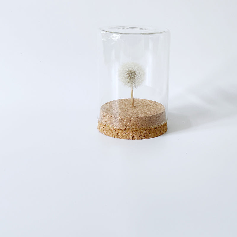 Pusteblume im Glas mit Korkboden | Natürliche Schönheit für Ihr Zuhause