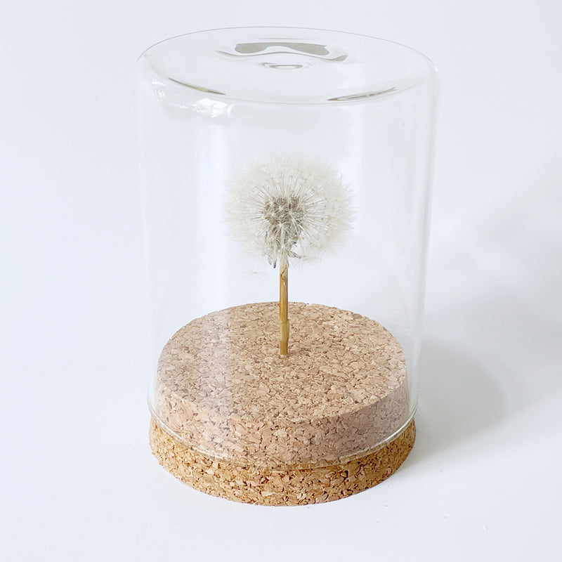 Pusteblume im Glas mit Korkboden