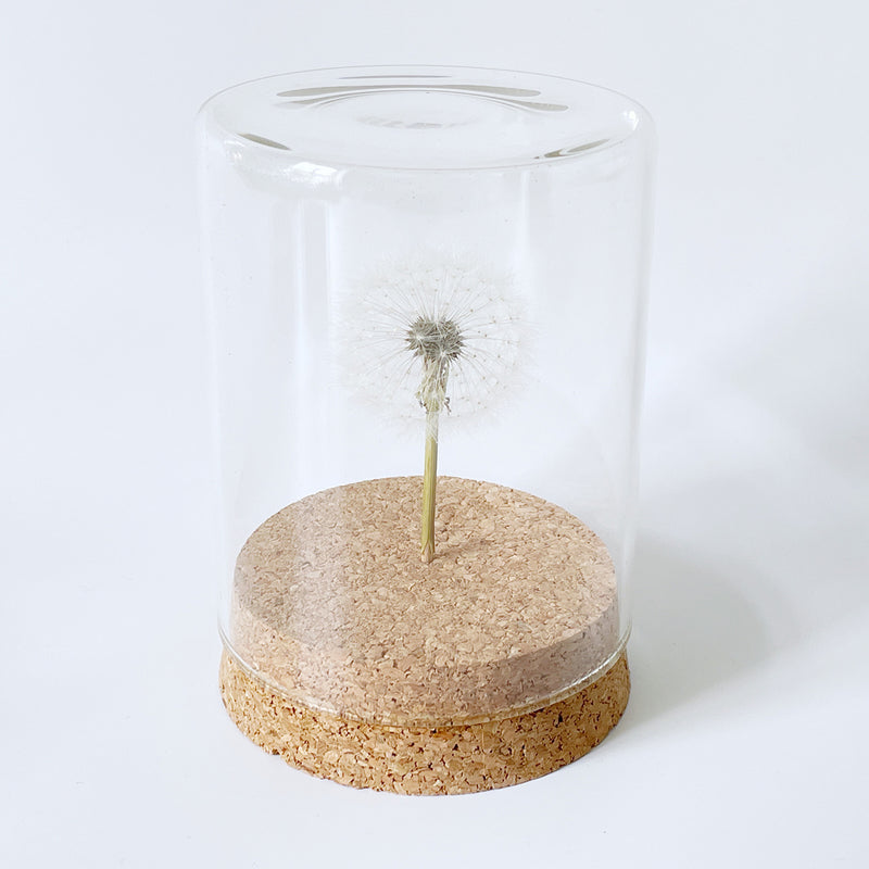 Pusteblume im Glas mit Korkboden | Natürliche Schönheit für Ihr Zuhause